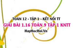 Giải 1.16 Toán 12 tập 1 SGK Kết nối tri thức
